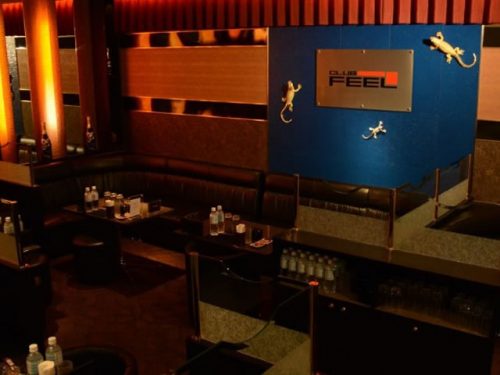 初心者の派遣コンパニオンでも稼げる中洲のキャバクラ