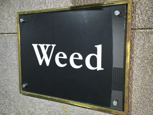 水商売が未経験でも活躍できる中洲のスナック